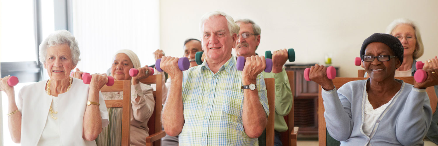 group of elderly seniors exercising